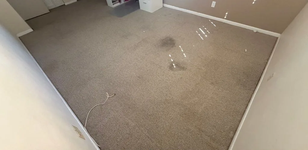 Bedroom carpet before cleaning