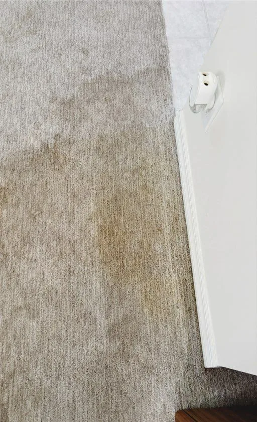 Living room carpet before cleaning