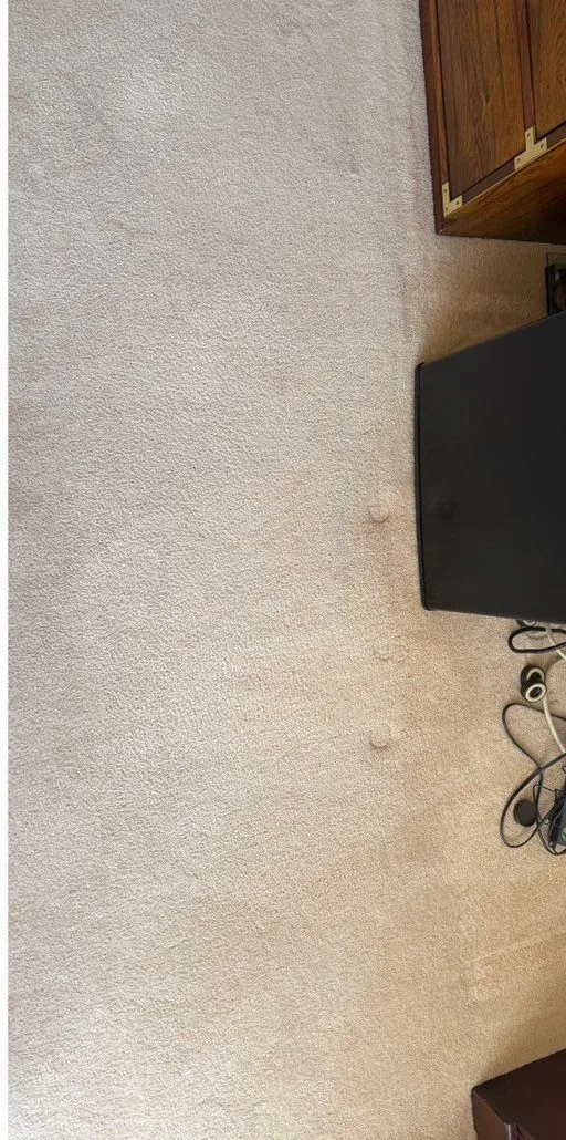 Bedroom carpet after cleaning