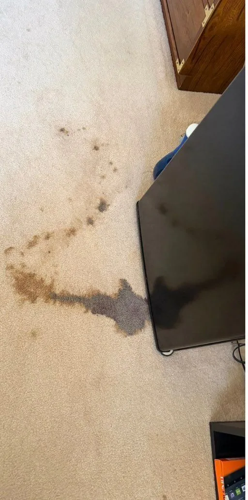 Bedroom carpet before cleaning