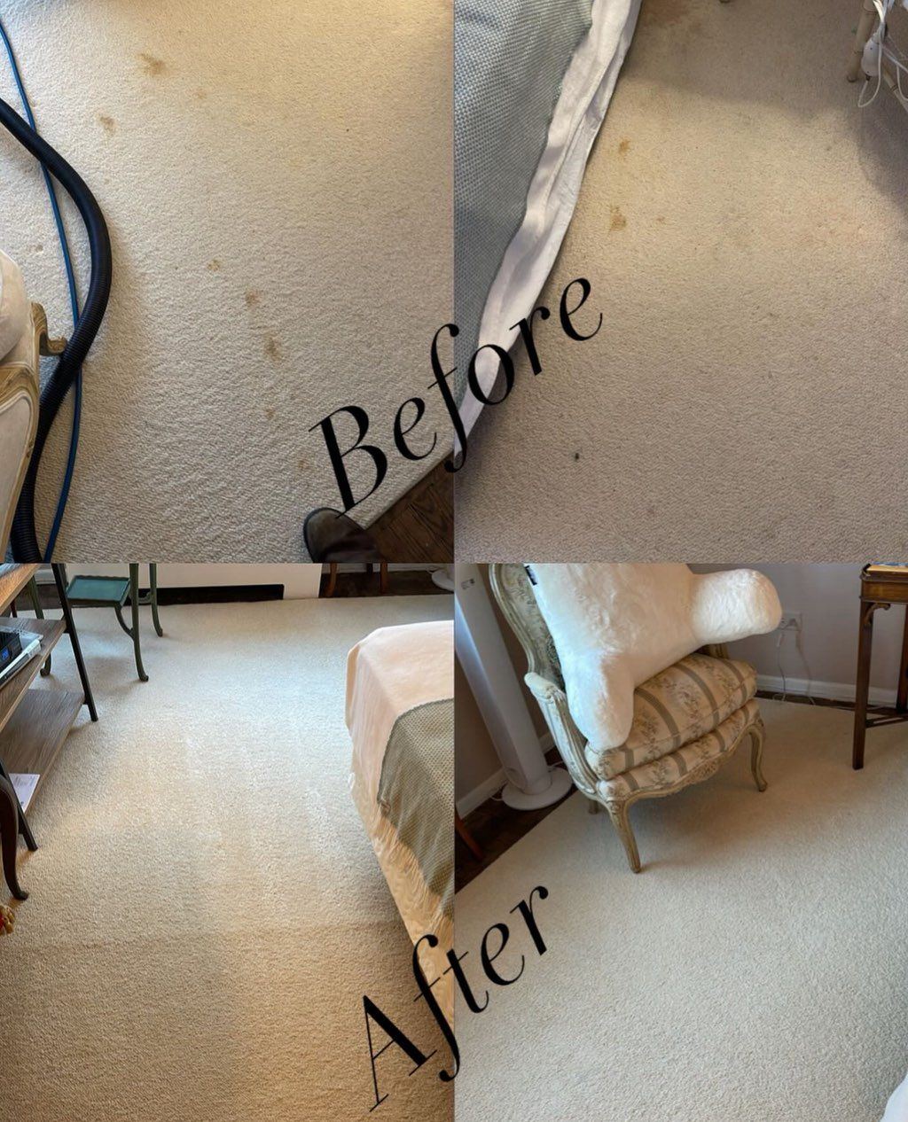 Carpet cleaning — bedroom, pet stains