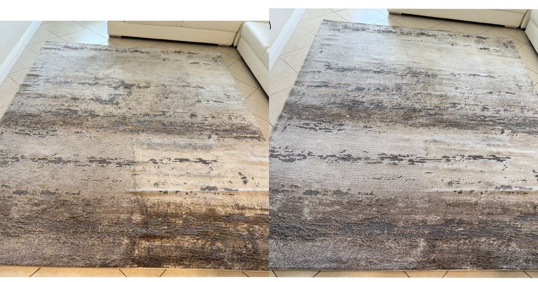 Area rug cleaning